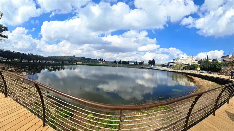 בריכת החורף