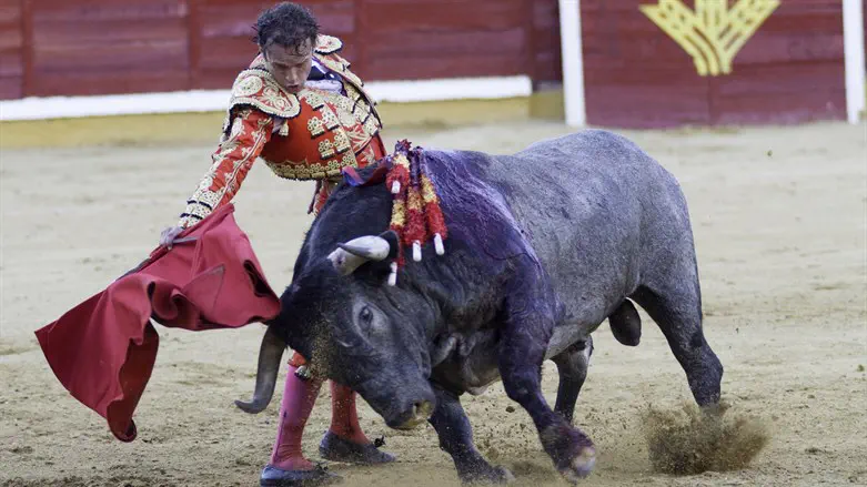אחד מענפי הספורט המסוכנים בעולם