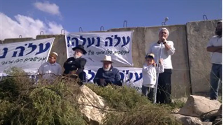 דניאלה וייס היום