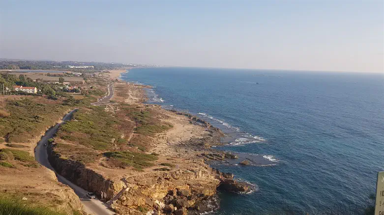 חוף ים
