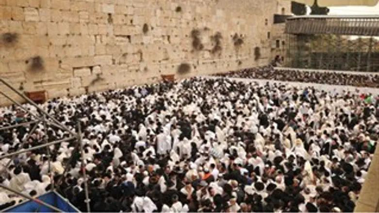 הכותל המערבי הבוקר