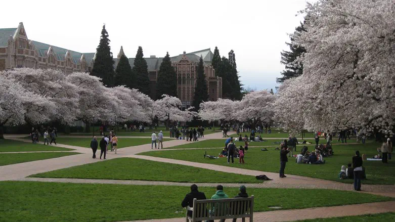 University of Washington Quad in Seattle