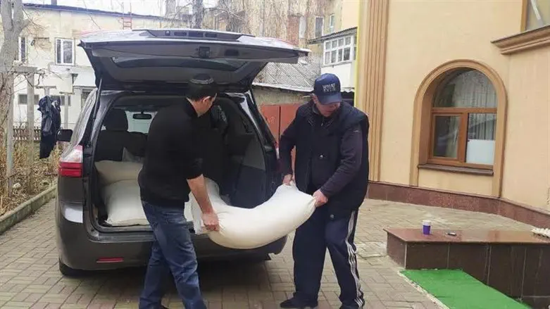 אוגרים מזום באוקראינה