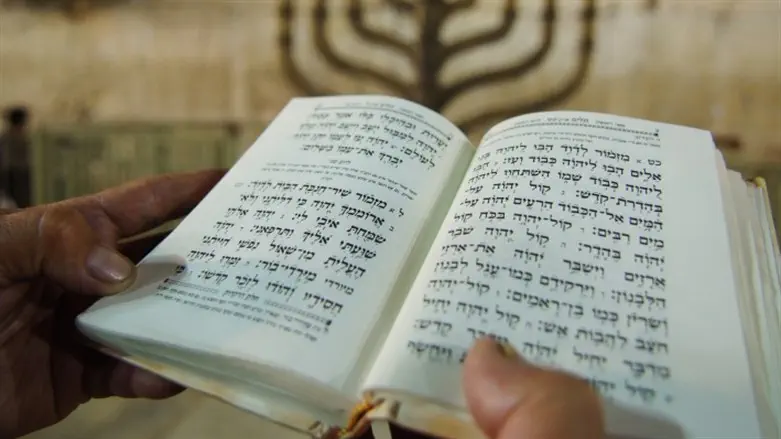 (Tehilim (Psalms