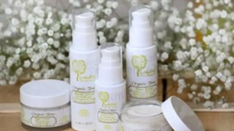 ללין, סדרה חדשה