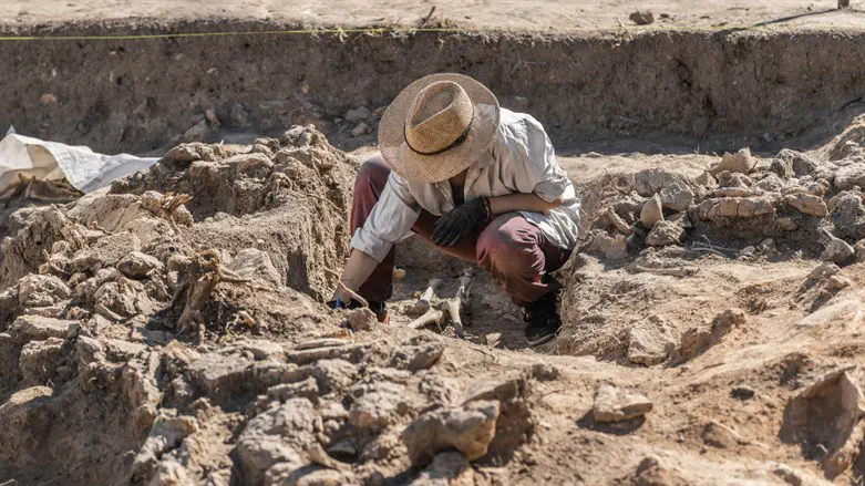 Ancient Burial Site- Archaeological Excavations