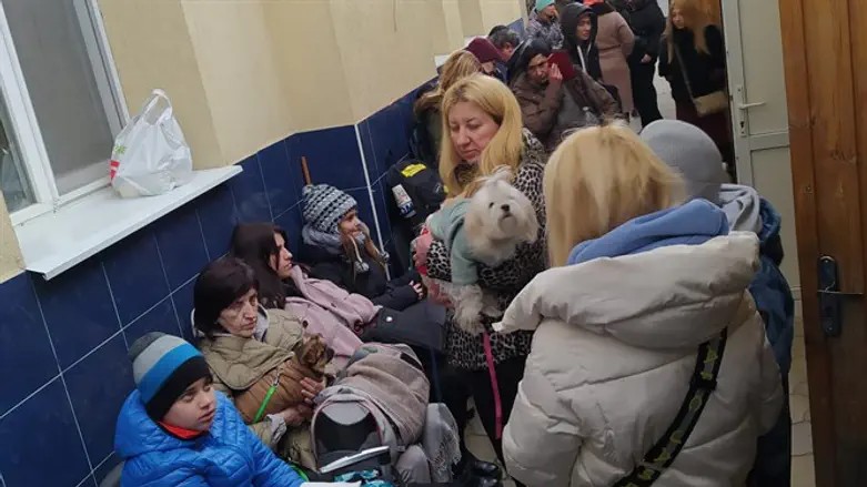 Украинские беженцы