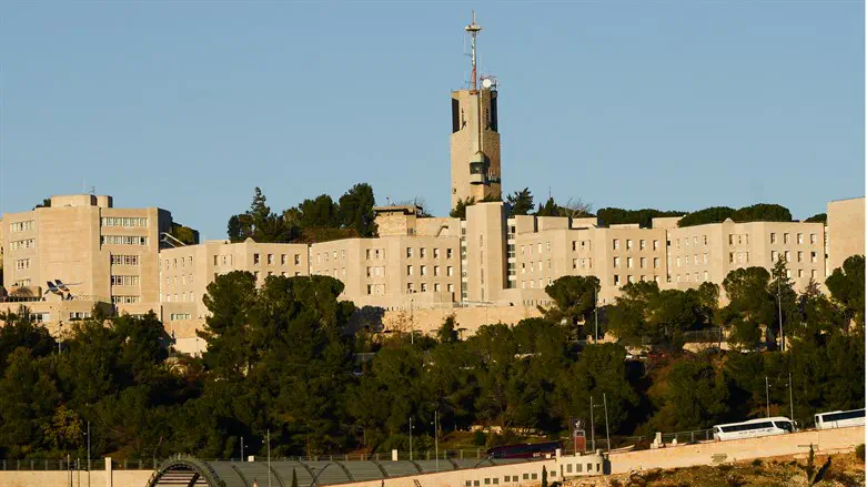 האוניברסיטה העברית