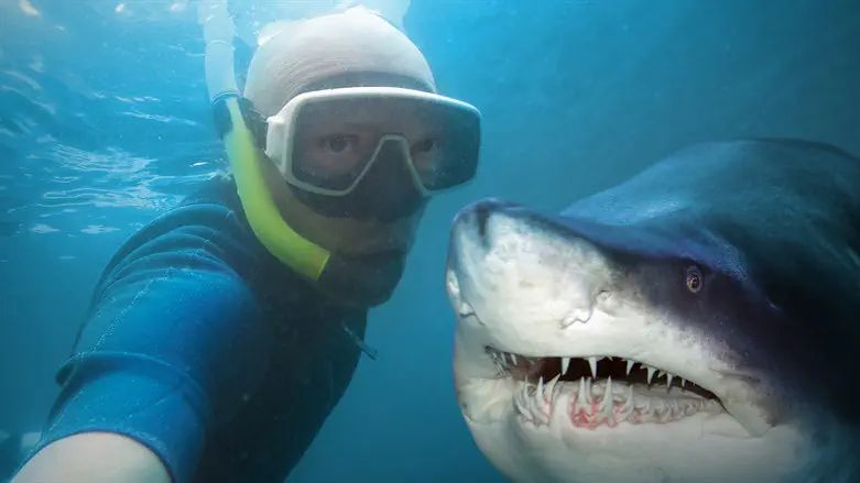 נקווה שהכריש כבר שבע