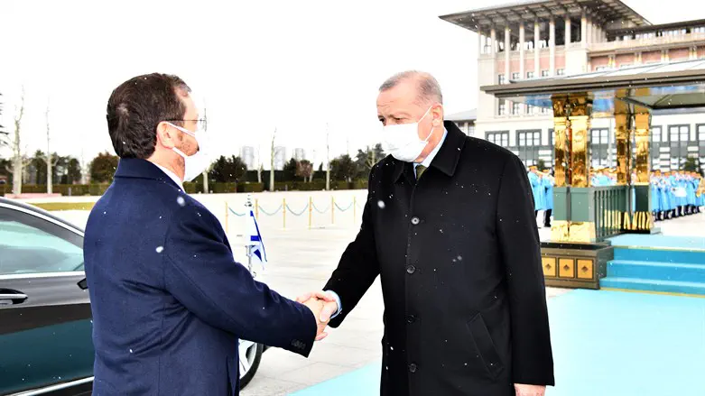 Erdogan and Herzog