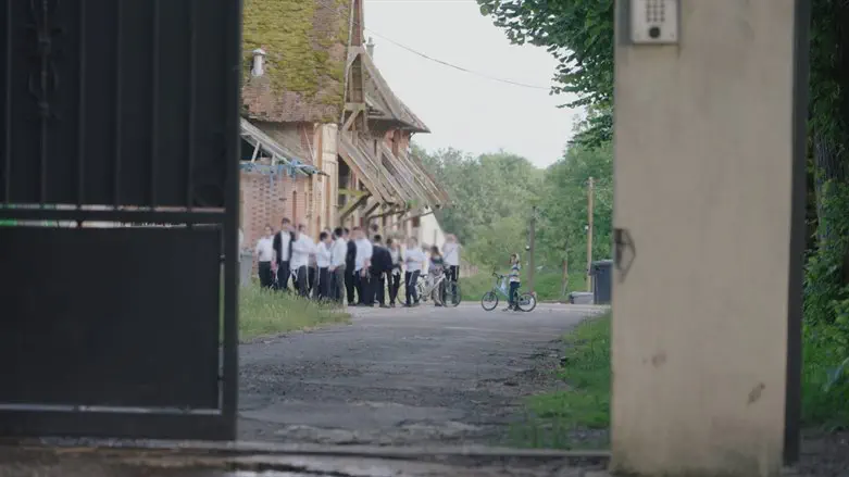 לצאת מבוסייר