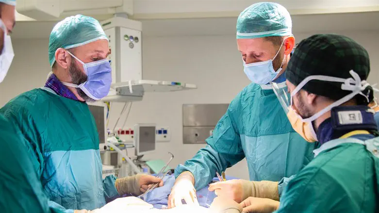 צוות המנתחים