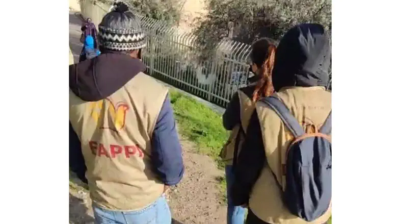 EAPPI activists