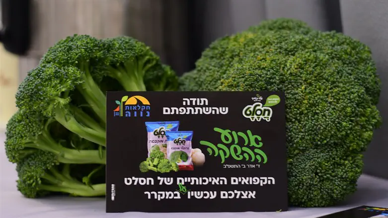 אירוע השקת המוצרים הקפואים של 'חסלט'