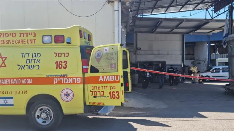 MDA ambulance (archive)