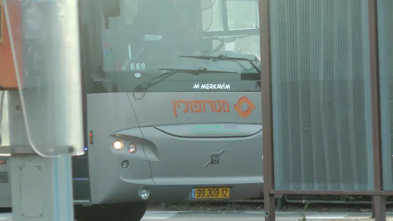 מטרופולין