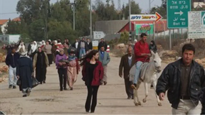 ערבים סמוך לבית אל