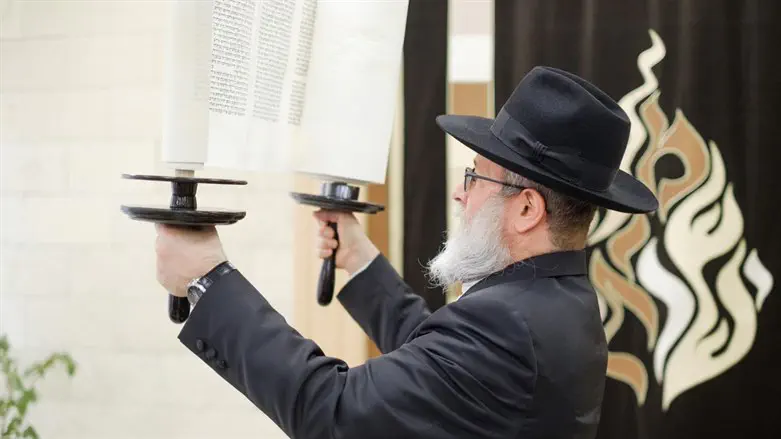 The new Torah scroll