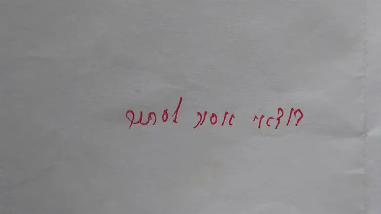 תשובת הרב קנייבסקי