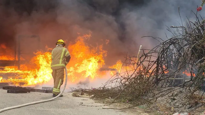 שריפה בבקעת הירדן