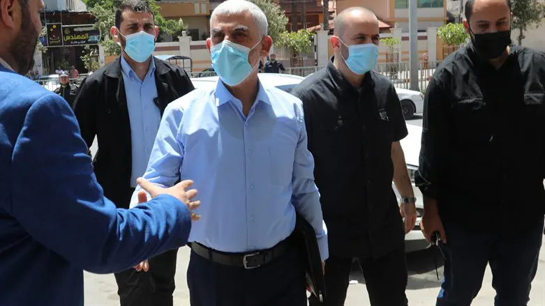 יחיא סינוואר