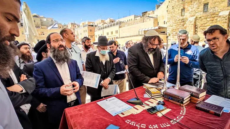 תפילה בכותל המערבי