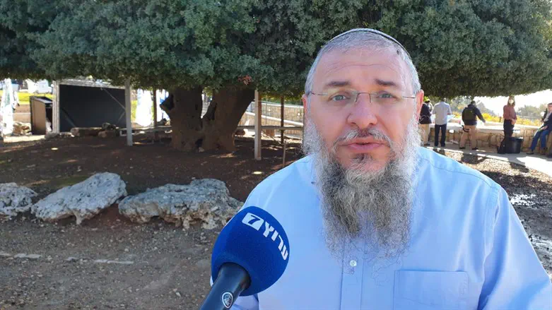 Shlomo Ne'eman