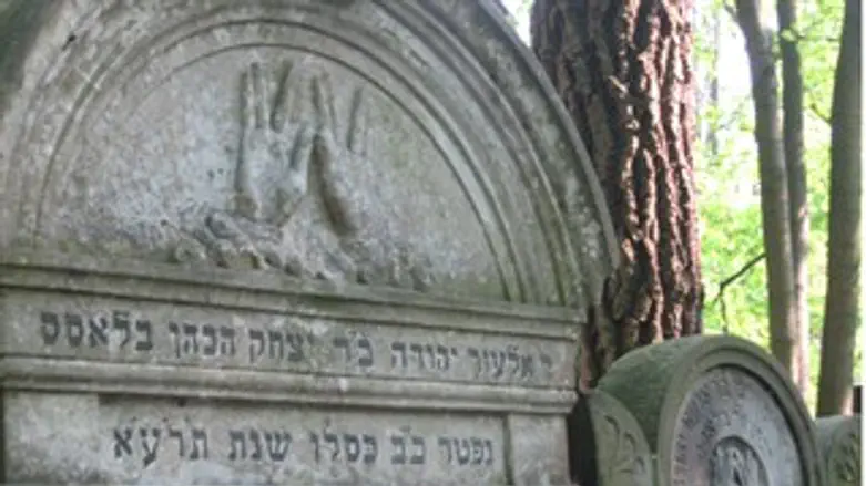 קבר אבי סבו של המשנה ליועמ"ש