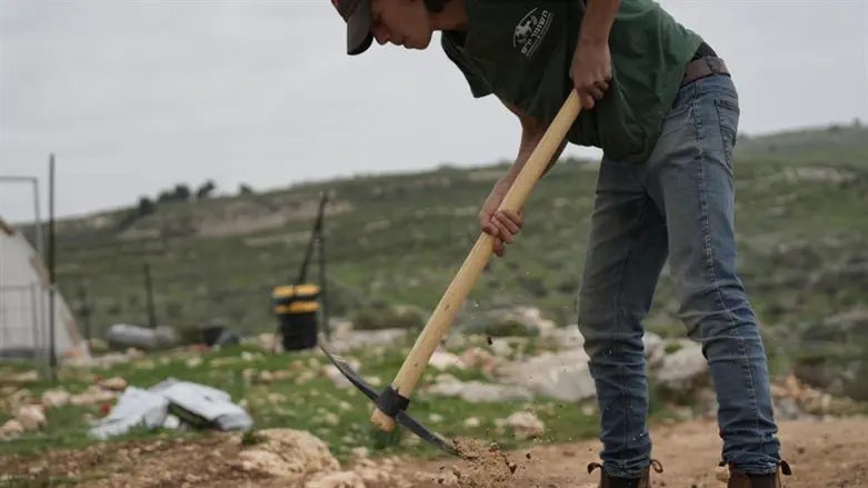מתנדב השומר יו"ש