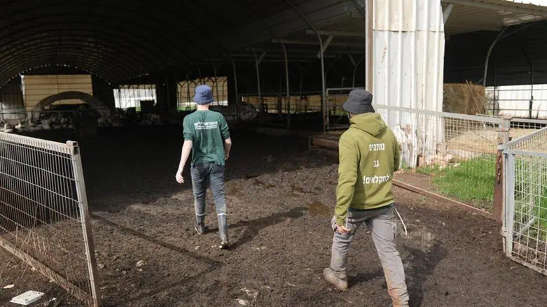 פעילים של השומר יו"ש