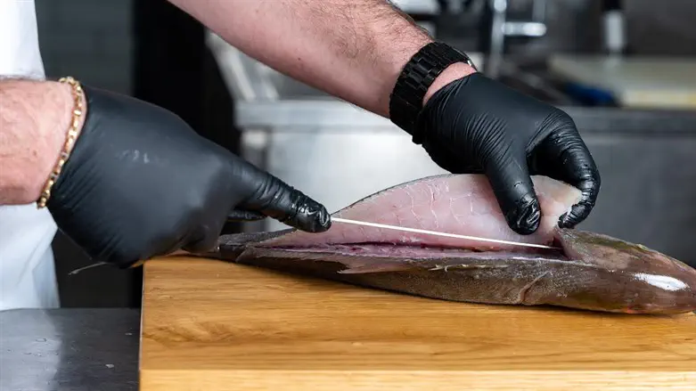 יניב שושן מדגים פילוט דג