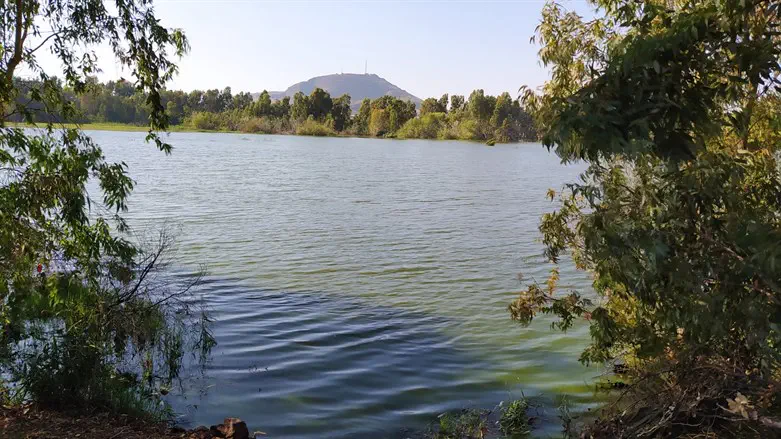 מאגר בוטמיה