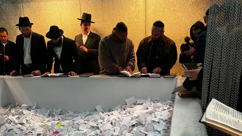 עומר אדם בקבר הרבי