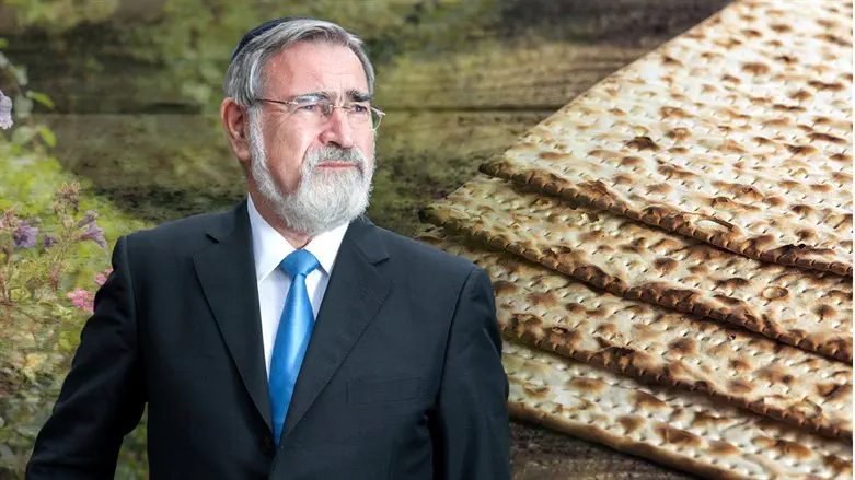 Rabbi Sacks and Pesach