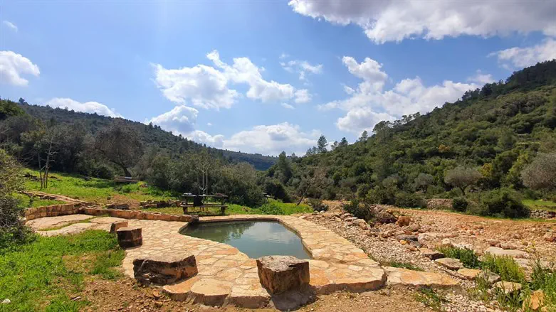 מעיין עין צוף. ליד היישוב נווה צוף שבבנימין