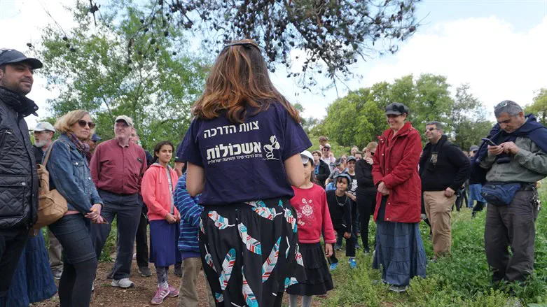 טיולים עם ארגון אשכולות