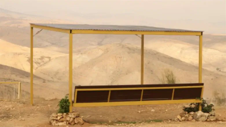 מצפה עמיתים