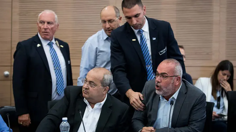  חברי הכנסת טיבי וסעדי