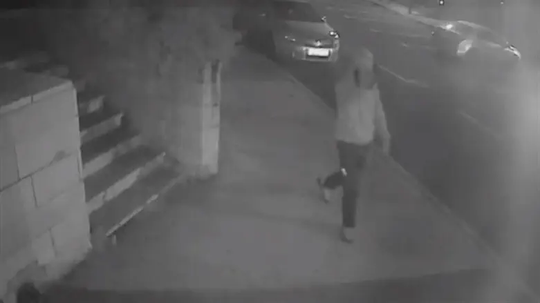 המחבל בזירה