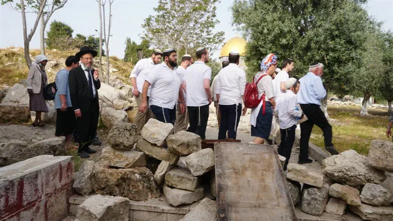 Храмовая гора