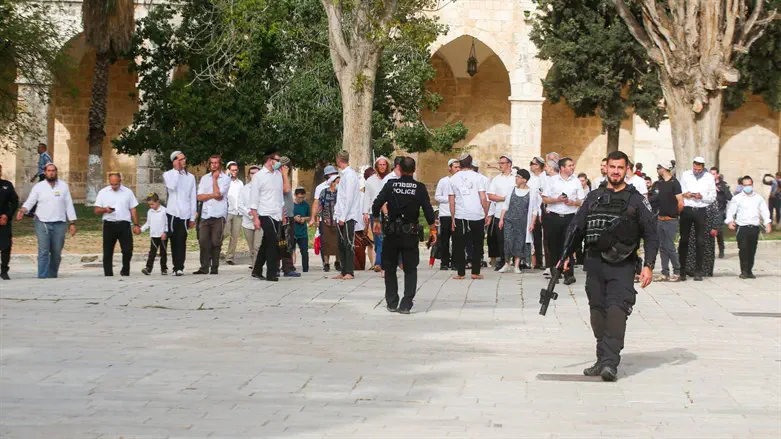 Евреи на Храмовой горе. Иллюстрация