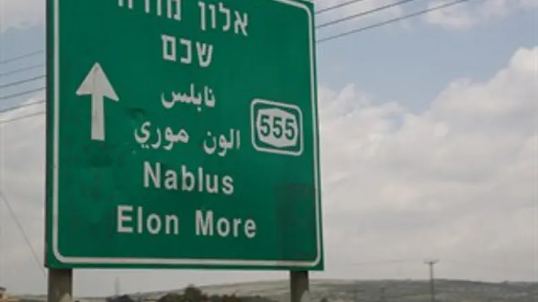 אלון מורה שכם