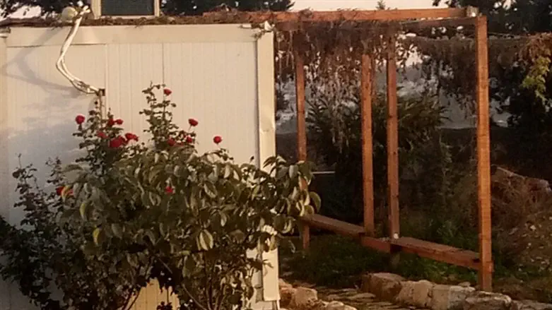 המבנה והבוסתן קובעים עובדות בשטח