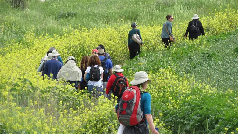 מטיילים בשפלת יהודה