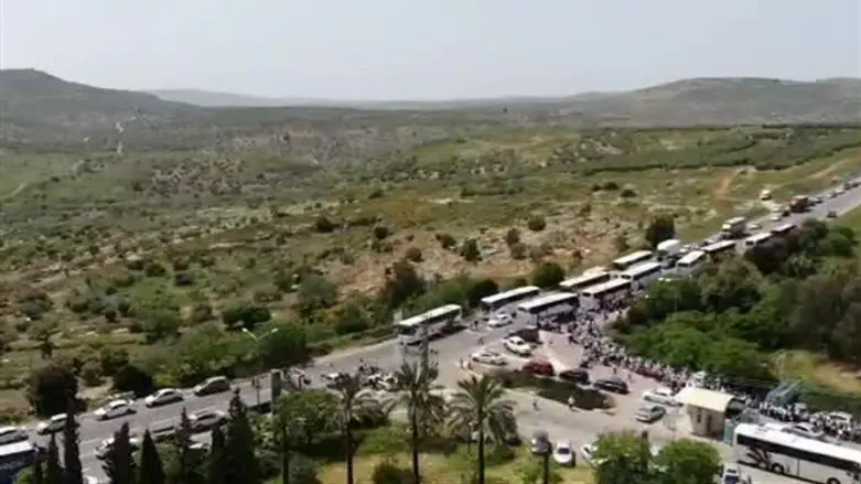 Марш в Хомеш