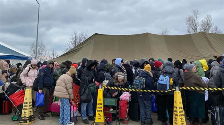 Украинские беженцы