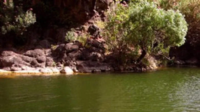 בריכה בנחל יהודיה. ארכיון