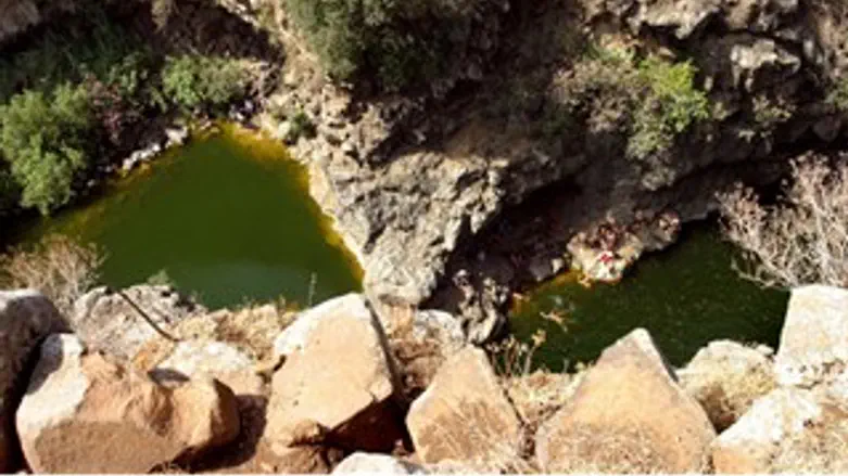 הבריכה בנחל יהודיה