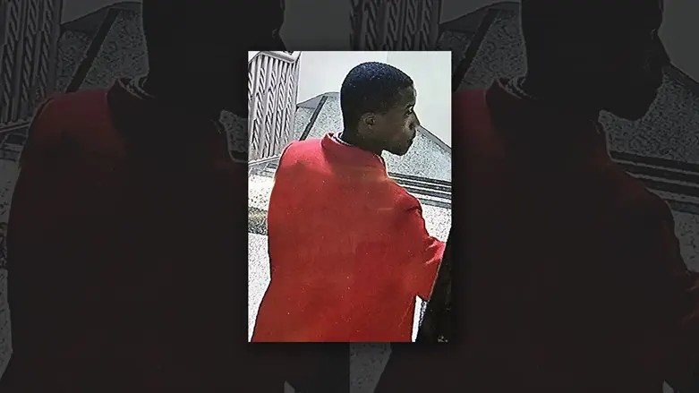 James Polite is seen in a surveillance picture