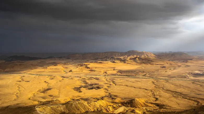 Desert fog